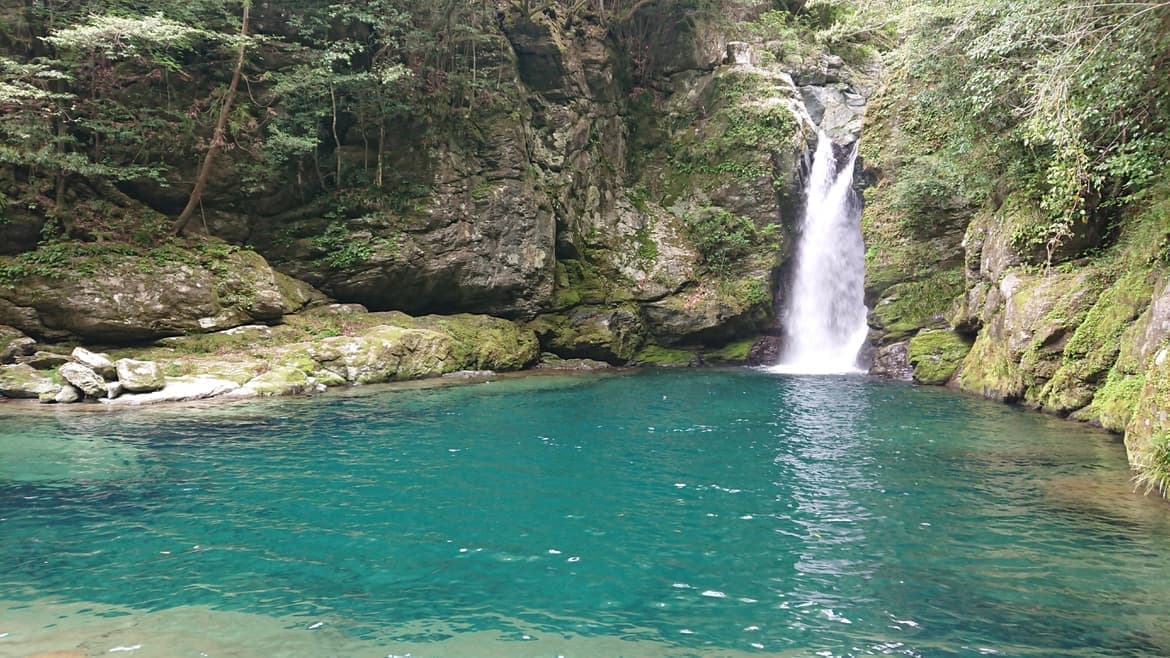 dsc_2213.jpg